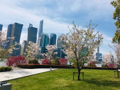 -北外滩滨江绿地