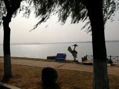 -丁香湖公园