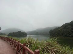 -广州市石门国家森林公园
