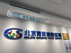-北京观赏动物医院·24小时大型综合·猫专科·异宠专科