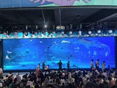 -烟台海昌鲸鲨海洋公园