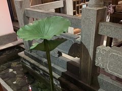 -徽镇小厨·经典徽菜(十里河店)