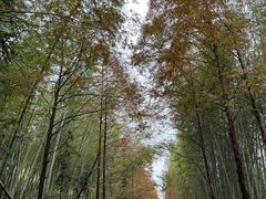 -泽雅景区