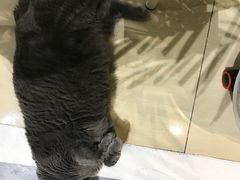 -小时光咖啡馆(开森度假森林店)