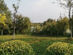 -大港湿地公园
