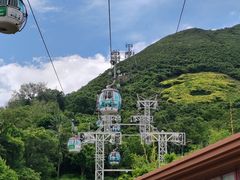 -香港海洋公园