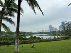 -万绿园
