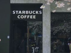 -玛格萝妮比萨屋(四平店)