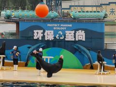 -秦皇岛乐岛海洋王国