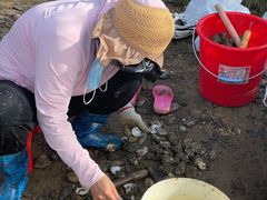 -坝光海滩
