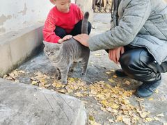 -旅顺博物馆
