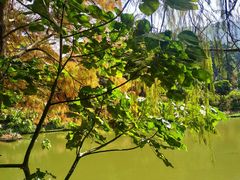 -深圳仙湖植物园-停车场