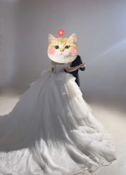 -金夫人婚纱摄影(总店)