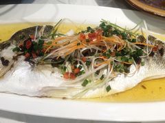 清蒸海鲈鱼-阿英煲(凉城路店)