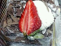 -法贝滋动物奶油蛋糕(广益哥伦布店)