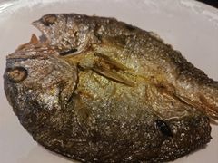 -甄御•海鲜新青岛菜(麦岛店)