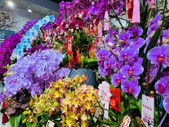 -溪岸路花鸟市场