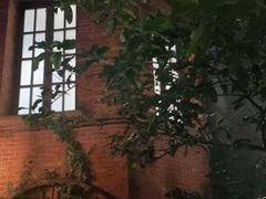 -Ocean's Table 欧舍