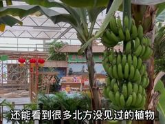 -兰陵国家农业公园