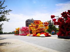 -荷兰花海
