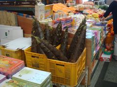 -西归浦每天偶来市场