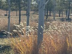 -中家鑫园温泉酒店鑫悦汤泉
