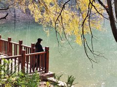 -青龙山国家森林公园