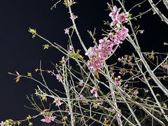 -福州大学(旗山校区)