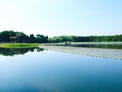 -溱湖国家湿地公园