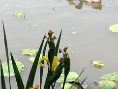 -洛阳市隋唐城遗址植物园