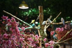 -酷嗒动物文化乐园(cutezoo西溪乐天城店)