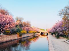 -海棠花溪(元大都城垣遗址公园)