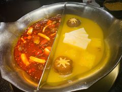 台式麻辣花胶鸡鸳鸯锅-湊湊火锅·茶憩(世博大道店)