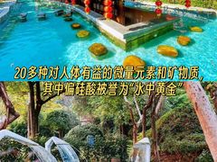 -佛冈森波拉度假区