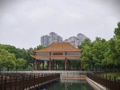 -金银湖国家城市湿地公园