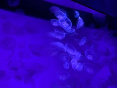 -沈阳海洋探索中心