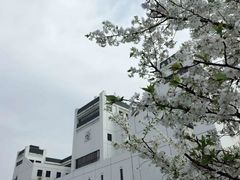-武汉大学-樱园