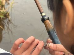 -重庆彩云湖湿地公园