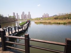 -前关湿地公园