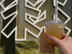 -精绝七日-新疆尼雅遗址数字大展【拉法耶文化艺术中心】