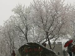 -北京市海淀外国语实验学校