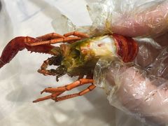 -日食记精菜馆(建邺万达店)