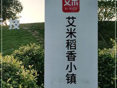 -艾米稻香小镇
