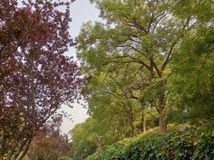 -元大都城垣遗址公园