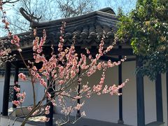 -无锡梅园公园