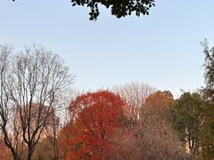 -滨湖塘西河公园