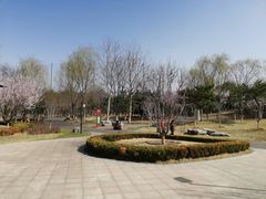 -东升文体公园