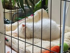 -Beans Solo豆号咖啡(百家湖花园店)