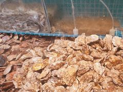-港畔赶海蒸汽海鲜烧烤自助(仙螺岛店)