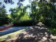 -大兴滨河森林公园